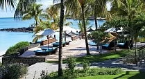 Royal Palm
