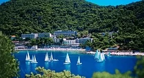 Vis