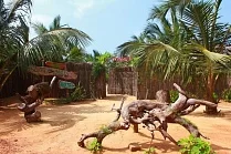 Omeesha Beach Hotel
