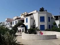 Aleksandar