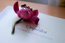 Orquidea