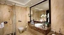 The Ajman Palace 5*