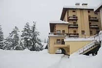 Corona