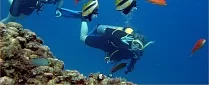 Bunga Raya Island Resort