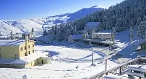 Ulukardesler