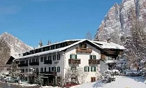 Menardi