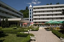 Oasis