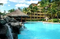 Coral Costa Caribe