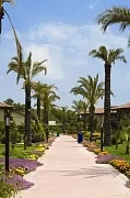 Club Felicia Village