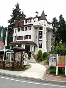 Alpin