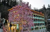 Magnolia Kutaisi