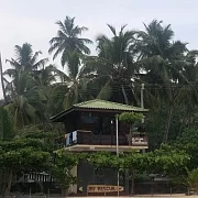 Birdhouse Unawatuna