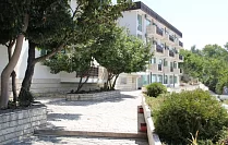 Oasis
