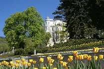 Belvedere
