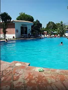Alkantara