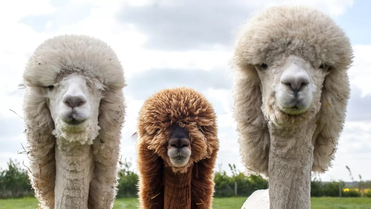 Диприз. Парк природы 