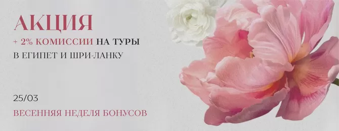 акция баннер (14).png