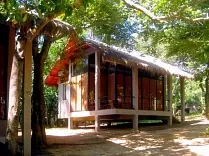 Palm Paradise Villas