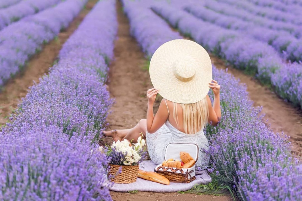 Гомельский прованс