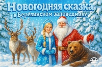  Новогодняя сказка в Березинском заповеднике 