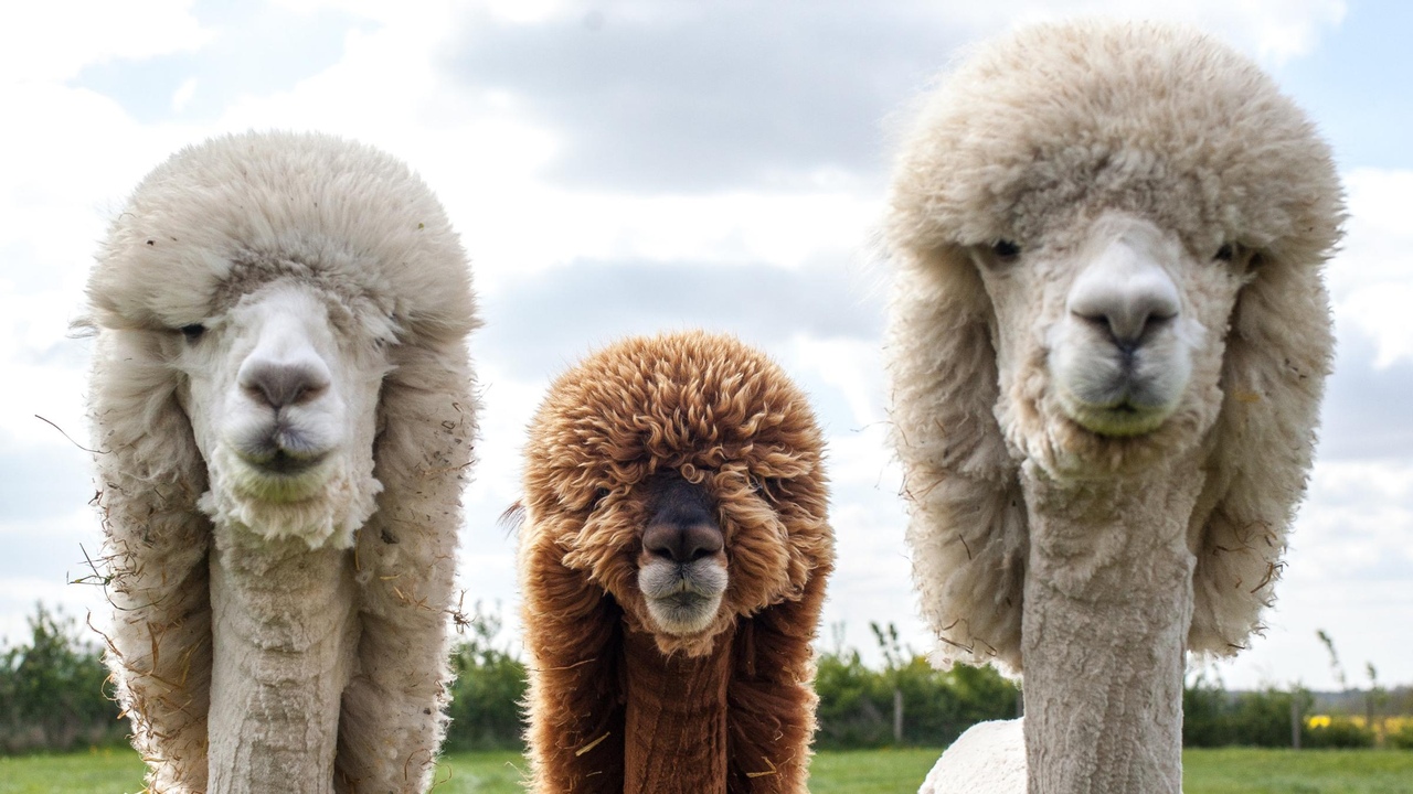 Диприз. Парк природы 